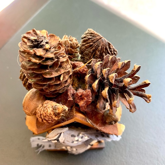 Homemade Birdhouse Decor with Pinecones and Nuts - Picture 3 of 6